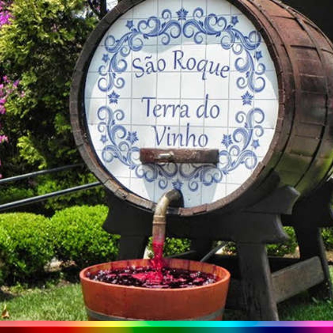 SÃO ROQUE - ROTA DOS VINHOS  - 27/07/2024